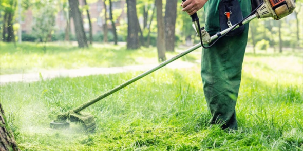 1743338474-fbd2d9449bf41ed4a0d886a9498d14e0-1024x512